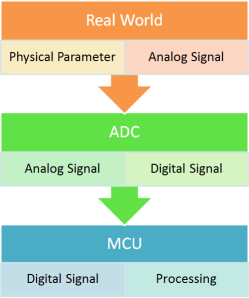 Signal Acquisition Process
